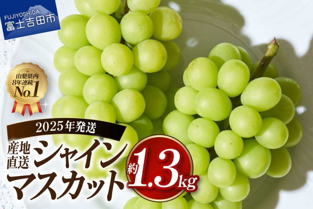 [2025年発送]高級 山梨県産 シャインマスカット 2房 (約1.3kg) 果物 旬 フルーツ 高級 シャイン ぶどう 山梨 富士吉田 フルーツ 富士吉田市
