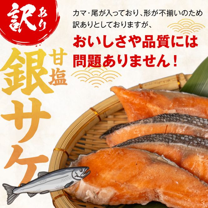 【訳あり】甘塩銀サケ昆布風味（500g×2）N0212-YA2272