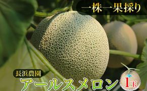 【ふるプレ限定品】【特別寄附額】【数量限定100】アールスメロン（ネットメロン） 1玉（2026年7月上旬～発送）　NG00015P