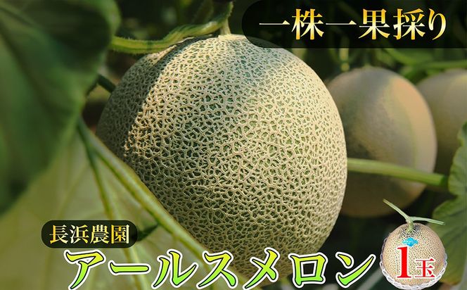 【ふるプレ限定品】【特別寄附額】【数量限定100】アールスメロン（ネットメロン） 1玉（2026年7月上旬～発送） 国産 フルーツ 果物 メロン 甘い 糖度 ハウス栽培 リピート めろん ふるさと納税 メロン 1玉 ふるさと納税 先行予約 期間限定　NG00017P