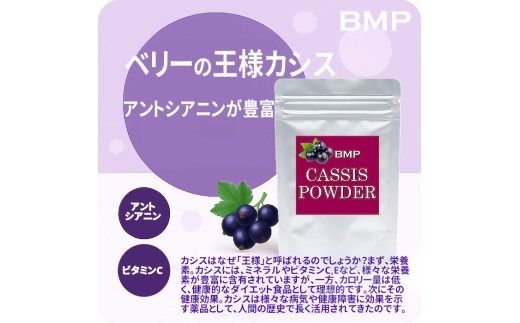 BMP カシスパウダー 2kg（100g×20袋）（カシス濃縮果汁粉末）