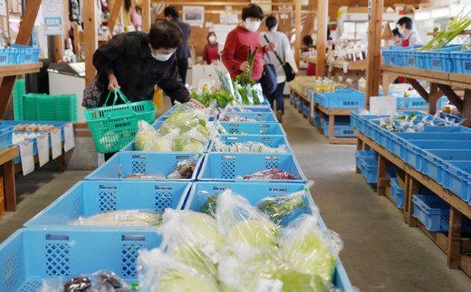 緑新鮮市の「和の食」あいなんの便り