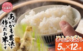 【定期便12回】令和8年産 特別栽培米 あいがも農法でつくったひとめぼれ 5kg×12回 | [カメイ 宮城県 加美町] お米 こめ コメ 精米 白米 特別栽培米 あいがも農法 | km-ag-hb05-t12-r8
