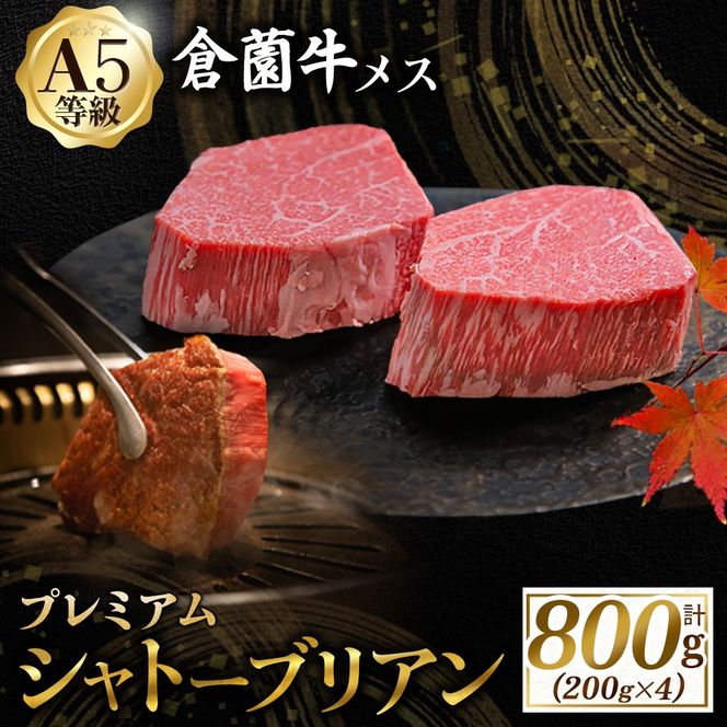【プレミアムシリーズ】厳選宮崎牛メス指定 A5等級シャトーブリアン 800g（国産 牛肉 国産牛 和牛 黒毛和牛宮崎牛 赤身 ヒレ シャトーブリアン ステーキ 焼肉）