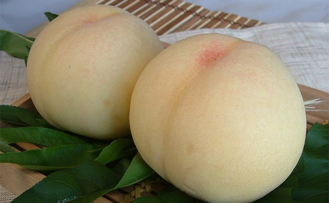 桃 2026年 先行予約 定期便 岡山名物 白桃 食べ比べ ！ 清水白桃 と 白麗 各約3.0kg 10～12玉 あかいわファーマーズガーデン 果物