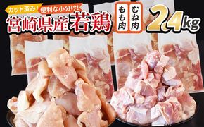 ＜宮崎県産若鶏切身 2.4kg（むね肉 300g×4袋 もも肉 300g×4袋）＞ 翌々月までに順次出荷 【 セット 詰め合わせ からあげ 唐揚げ カレー シチュー BBQ 煮物 チキン南蛮 小分け おかず おつまみ お弁当 惣菜 時短 炒め物 簡単料理 】【b0772_it_x2】