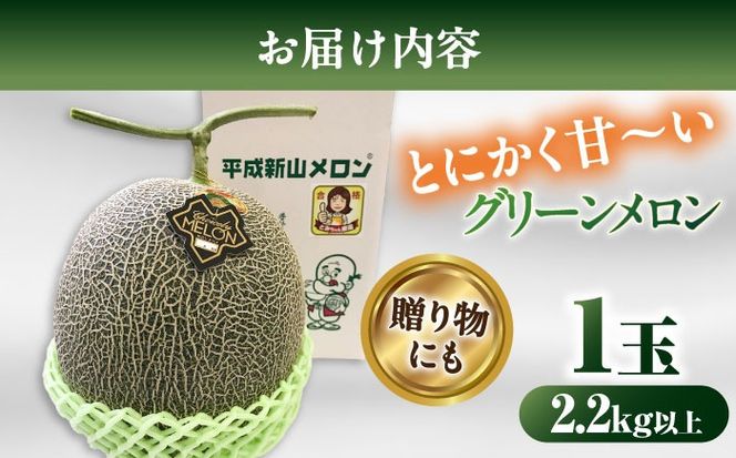 【2025年7月上旬〜発送】【平成新山メロンPREMIUM（とみちゃん厳選）】グリーンメロン 1玉 / メロン めろん 果物 フルーツ / 南島原市 / うえだメロン園 [SAD006] 