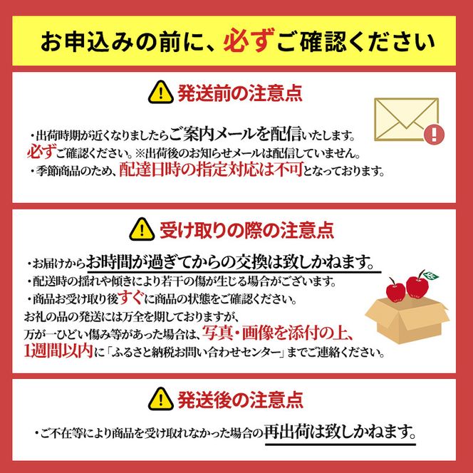 りんご【12月・1月発送】蜜入り 糖度13度以上 訳あり 家庭用 葉とらず サンふじ 約10kg【青森りんご 果物 フルーツ デザート 食後 おやつ 産地直送】