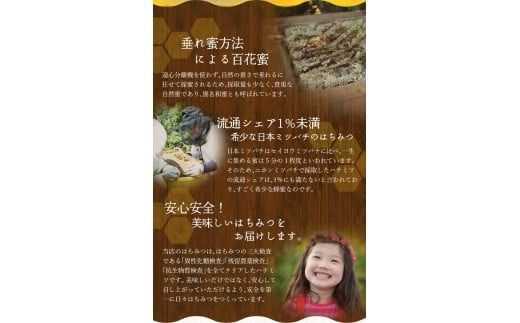 希少ハチミツ 南紀熊野蜜 1kg（500g×2個） / 古座川流域で採取した日本みつばちのはちみつ 南紀熊野蜜D はちみつ 国産 日本ミツバチ 【tkd203】