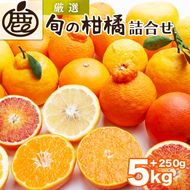 ＜1月より発送＞厳選 柑橘詰合せ5kg+250g（傷み補償分）◇【有田の春みかん詰め合わせ・フルーツ詰め合せ・オレンジつめあわせ】【光センサー選別】 ※北海道・沖縄・離島への配送不可 ※2026年1月上旬～4月下旬頃に順次発送予定