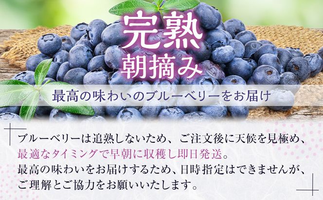 南紀白浜産ブルーベリー 約400g 304018_Y008