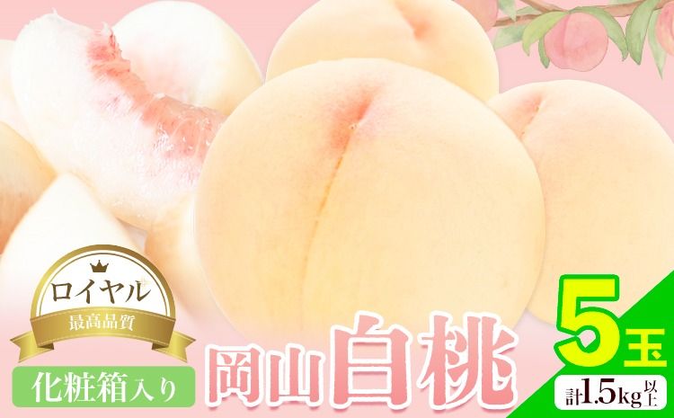 [2026年先行予約]岡山白桃 5玉 (1.5kg以上) 等級ロイヤル 化粧箱入り 株式会社山博 (中本青果)[2026年7月上旬-8月中旬頃出荷]岡山県 笠岡市 桃 もも フルーツ 旬 果物 国産 岡山県産 送料無料 冷蔵 化粧箱[配送不可地域あり]---Y-24a---