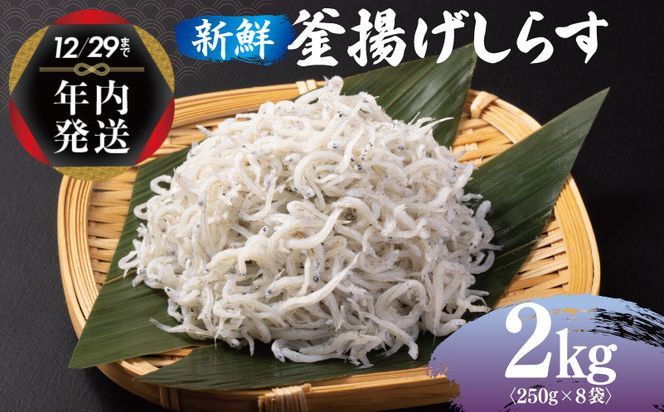 020C361y 【年内発送】 新鮮 釜揚げしらす 合計 2kg 小分け 250g×8P