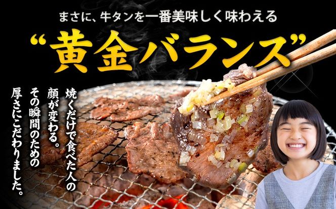 牛タン 牛肉 選べる牛タン 焼肉 塩麹 250g 500g 1kg 1.5kg《30日以内に出荷予定(土日祝除く)》熊本県 御船町 牛肉 タン たん 牛タン 塩麹 焼肉 食べ比べ 大容量 小分け 牛 牛肉たん タン中 タン元 牛タン レビュー---mifune_lcl_209_250y---