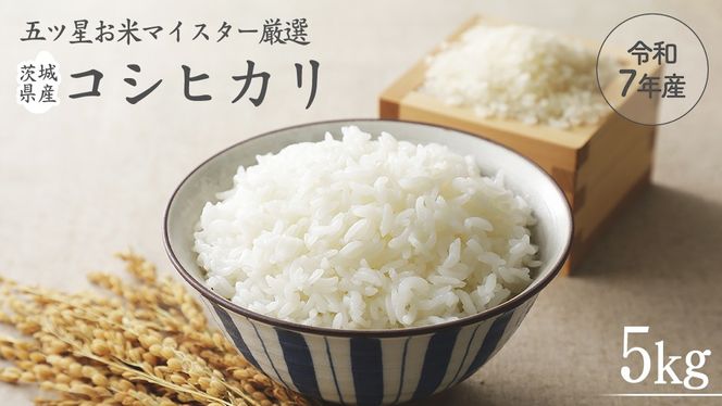 《 令和7年産 》 茨城県産 コシヒカリ 5kg ( 5kg × 1袋 )  期間限定 こしひかり 米 コメ こめ 五ツ星 高品質 白米 精米 時短 単一米 [AC039us]