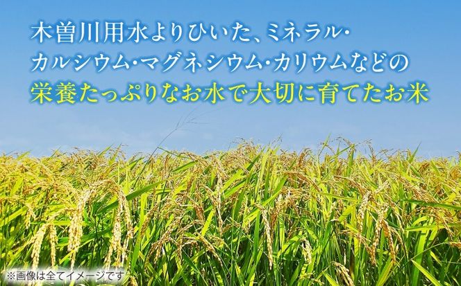 【12回定期便】あいちのかおり 白米 5kg×12か月 / 脇野コンバイン[AECP006]