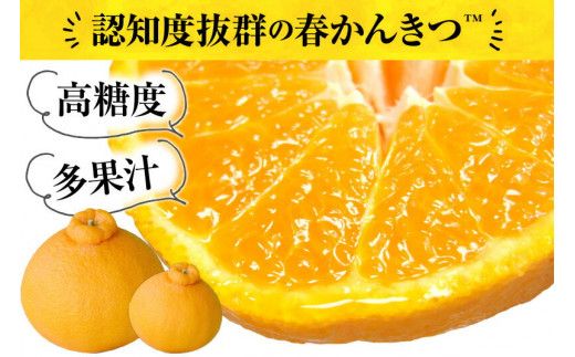  デコ 不知火 約5kg サイズおまかせ / デコポン 不知火 蜜柑 みかん 柑橘 果物 フルーツ 紀伊国屋文左衛門本舗 ※2027年2月上旬～4月上旬頃順次発送予定(お届け日指定不可) 【kmtb010-r-5】