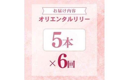 定期便6回 ユリ オリエンタルリリー 5本 花 切り花 プレゼント 贈り物 ギフト 誕生日 記念日 つぼみ 大輪 ピンク 白 香り 優雅 華麗 ブーケ フラワーアレンジメント 観賞用 インテリア 季節の花 高級感 花束 生花 福田園芸 オリエンタルハイブリッド 安芸市 高知県