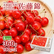 2027年発送 北海道 仁木町産 さくらんぼ 佐藤錦 180g×2P Lサイズ   サクランボ チェリー フルーツ 果物 果物類 仁木町 仁木 [林果樹園]