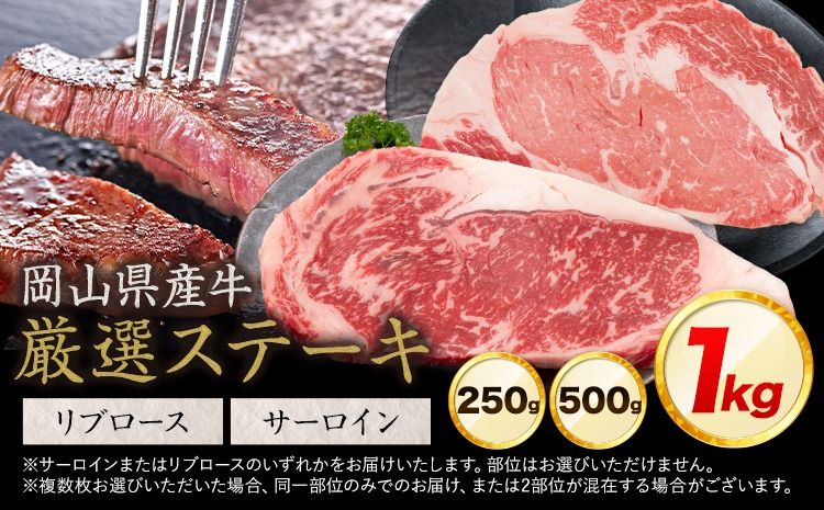 岡山県産牛 ステーキ サーロイン or リブ 交雑牛 選べる 250g 500g 1kg お試し 大容量[60日以内に出荷予定(土日祝除く)] 岡山県 笠岡市 肉 ステーキ 高級部位 希少部位 グルメ お取り寄せグルメ---kasaoka_zsy_287_25---