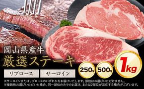 岡山県産牛 ステーキ サーロイン or リブ 交雑牛 選べる 250g 500g 1kg お試し 大容量《60日以内に出荷予定(土日祝除く)》 岡山県 笠岡市 肉 ステーキ 高級部位 希少部位 グルメ お取り寄せグルメ---kasaoka_zsy_287_25---