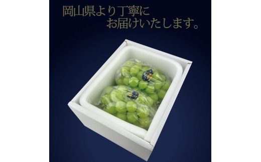 ぶどう 2026年 先行予約 9月・10月発送 高級品 シャインマスカット 晴王 2房 約1.2kg ブドウ 葡萄 岡山県産 船穂産 フルーツ 果物 ギフト