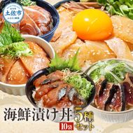 こだわり！土佐の海鮮丼の素 5種・各2袋セット【鰹タタキ漬け入り！】小分け 個包装 漬け丼 づけ丼 漬け丼の素 かつおのたたき カツオ さば 鯖 鯛 タイ カンパチ 勘八【企業組合　宇佐もん工房】 [BQAB021]