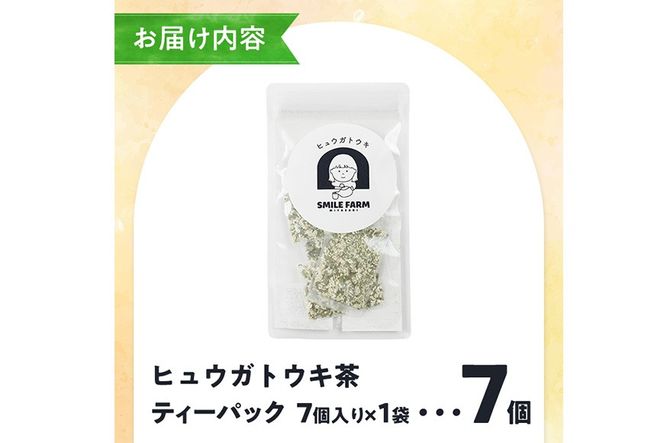 ヒュウガトウキ茶 ティーパック(1.5g×7個×1袋) トウキ茶 お茶 便利 簡単 生薬 ヒュウガトウキ 日本山人参 宮崎県産 国産【SF-03】【SMILE FARM】