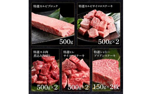 【CF-R7hbk】土佐あか牛協会が認定する「土佐熟成あかうし」詰め合わせ9種（合計6.6kg）サイコロステーキ ロース カルビ スネ ヒレ シャトーブリアン サーロイン ブロック肉 特選 赤身 牛 牛肉 和牛 国産 天下味 エイジング工法 熟成肉