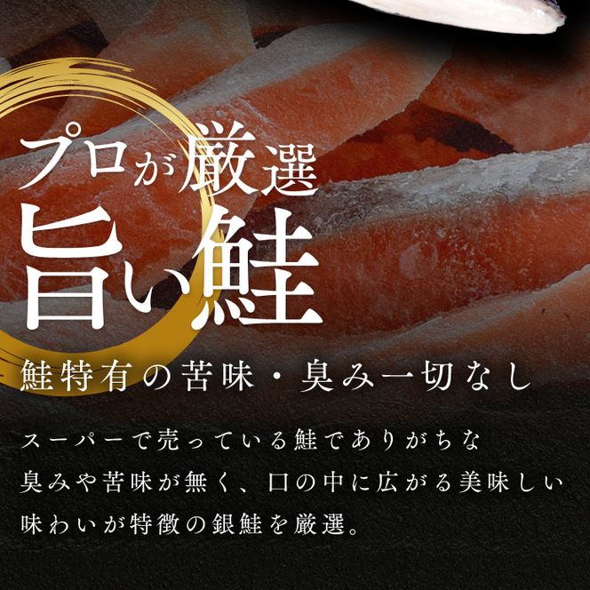 塩サケ 訳あり 20％増量 塩銀鮭 切り身 1.2kg しゃけ 規格外 おかず 惣菜 冷凍 魚