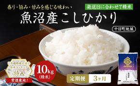 【3ヶ月定期便】魚沼産こしひかり(十日町地域) 精米 10kg(5kg×2) 米 お米 コシヒカリ 定期 十日町市