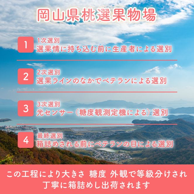 桃 2026年 先行予約 岡山 白桃 ロイヤル 4～6玉 約1kg JA おかやま のもも（早生種・中生種） もも モモ 岡山県産 国産 フルーツ 果物 ギフト 