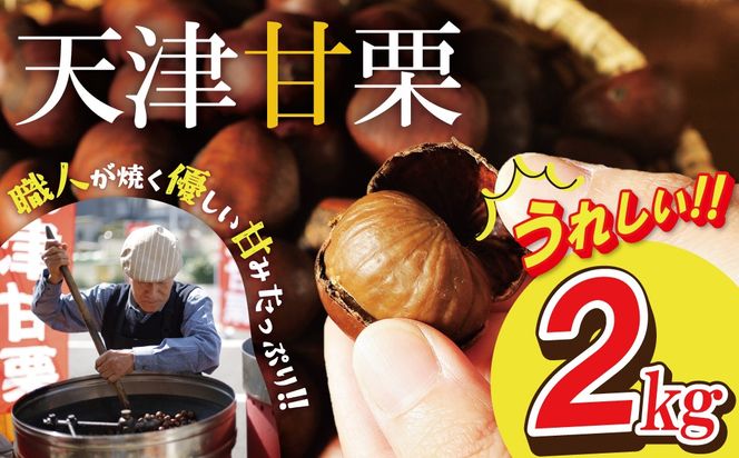  この道50年の職人が焼く､やさしい甘みたっっっぷり！｢天津甘栗｣ 2kg 焼きたて 栗 くり 栗爪 殻付き お菓子 おつまみ 人気 高リピート 小分け 栗ご飯 栗きんとん 甘露煮  碧南市 H045-107