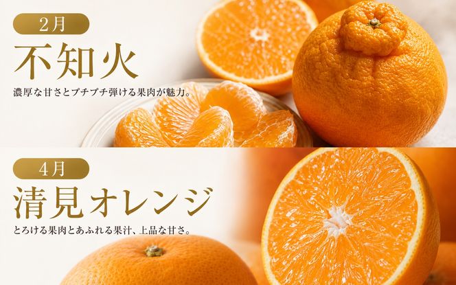 【発送月固定定期便】紀州和歌山産旬のフルーツセット(不知火・清見・スイカ・桃・柿・みかん)全6【tkb454】