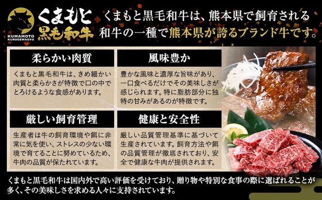 くまもと黒毛和牛 上 ロース 焼肉 切り落とし 300g 600g 900g《7-14日以内に出荷予定(土日祝除く)》熊本県 南阿蘇村 上ロース 焼肉用 黒毛和牛 焼肉 肉 お肉 和牛 300g 小分け リブロース サーロイン ふるさと納税 A4～A5等級 黒毛和牛 切り落とし---mna_fzyoursyk_7e14e_10000_300g---