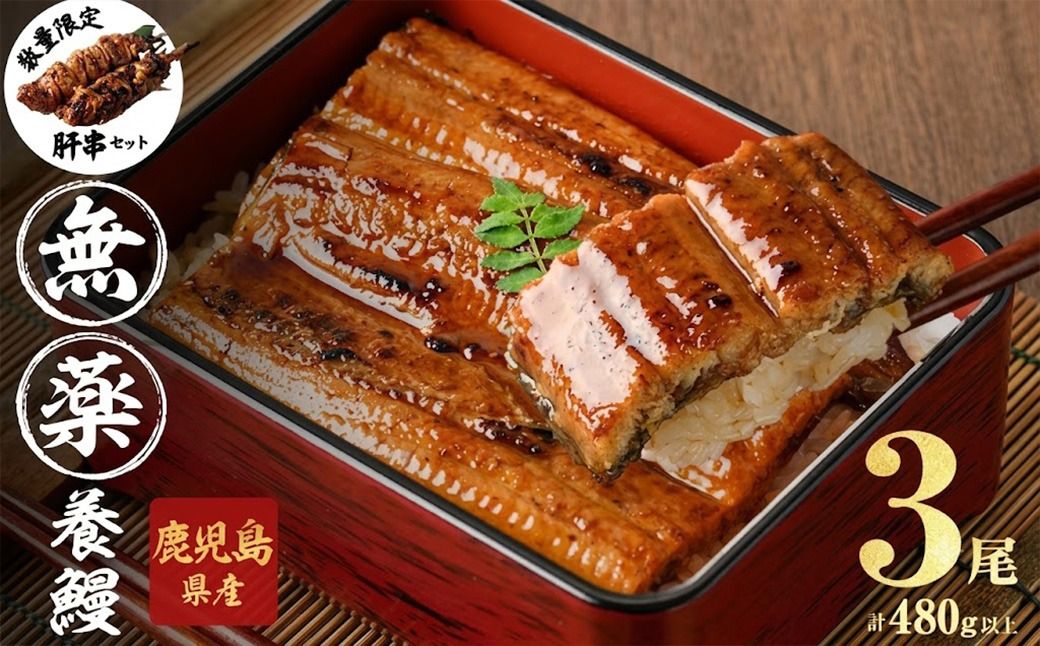 [無薬養鰻] 鹿児島産 山田のうなぎ [計480g以上](160g以上×3尾) 肝串セット [ポータル限定] a6-062-km