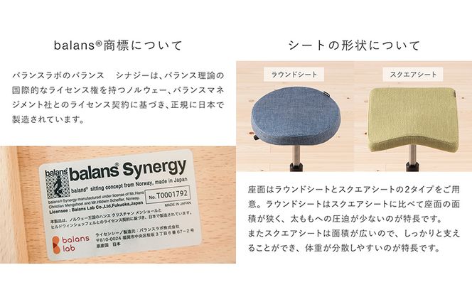椅子 バランスシナジー カバーなし 選べる シート カラー 腰痛対策椅子 腰痛対策 家具
