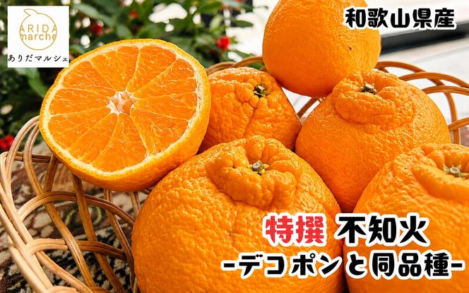 特撰 濃厚 不知火 ( デコポン と同品種)( 訳あり 家庭用 )  約1kg+200g(傷み補償分) ※2027年1月下旬～3月下旬に順次発送【ard260】