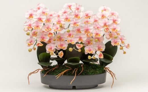 ArtificialFlower『NAGOMI』　光触媒胡蝶蘭「雅(みやび)」【選べるカラー】白黄／白赤／絞りピンク  F-142