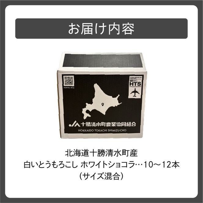 【2026年8月～発送開始！】北海道十勝清水町産 白いとうもろこし ホワイトショコラ サイズ混合 10～12本_S021-0018