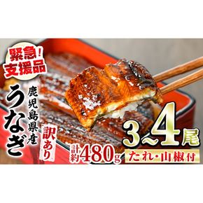 【0154316a】【緊急支援品】＜訳あり＞鰻の蒲焼き(無頭)(3～4尾・計約480g・タレ、山椒付) うなぎ ウナギ 鰻 国産 蒲焼 蒲焼き たれ 鹿児島 ふるさと 人気 支援【アクアおおすみ】