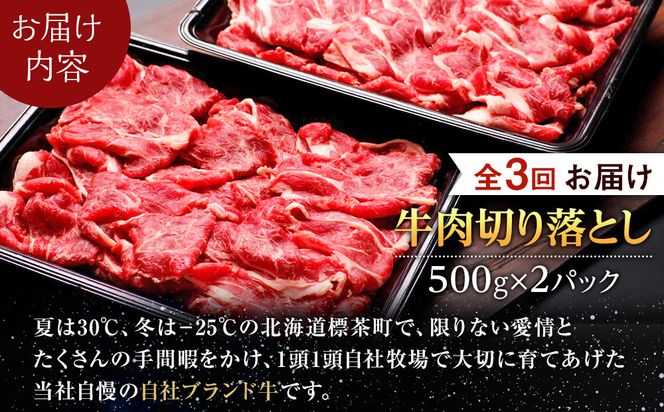 【3か月 定期便】北海道産 星空の黒牛 切り落とし 約1kg（500g×2） 【 肉 にく ニク 牛肉 牛肉赤身 赤身 牛肉セット バーベキュー 冷凍牛肉 贅沢牛肉 国産牛肉 北海道産牛肉 道産牛肉 簡単 お手軽 特製牛肉 標茶町 北海道 】 016641_AD051