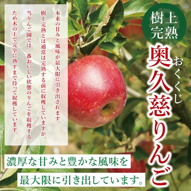 【数量限定】【三村観光りんご園】【10月より順次発送予定】樹上完熟！奥久慈りんご＆贅沢ジュース（品種おまかせ約2kg＆720ml×1本）｜茨城県 大子町 林檎 旬 果物 フルーツ 果実 果汁 飲料 セット 詰合せ ギフト 贈答(BX008)