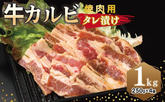 y{򍲖szG3349 Jr ēp ^Ђ v1kgyt  Ă ȒP BBQ  250g×4܁z