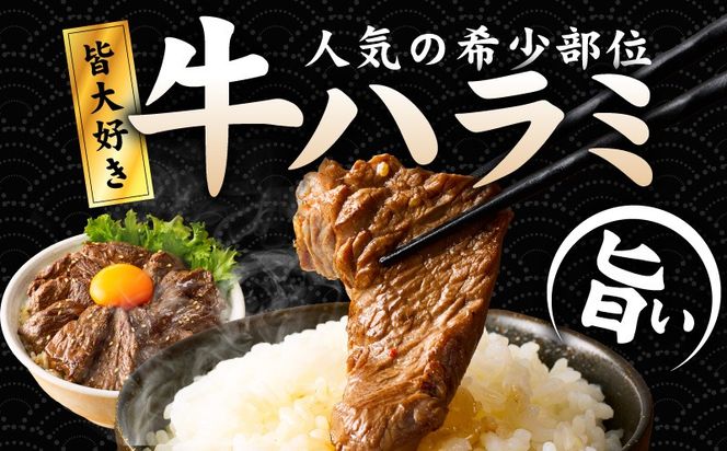 005A777 【満足牛ハラミ】中辛タレ漬け 400g【味付け ハラミ 小分け 焼くだけ 簡単調理 BBQ 牛肉 200g×2P 普段使い】