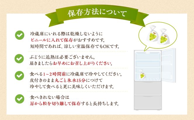 ぶどう 2026年 先行予約 シャイン マスカット 1房 マスカット ジパング 1房 各約700g 詰合せ 贈答箱 ブドウ 葡萄 フルーツ 果物 岡山 赤磐市産 農マル園芸 あかいわ農園 