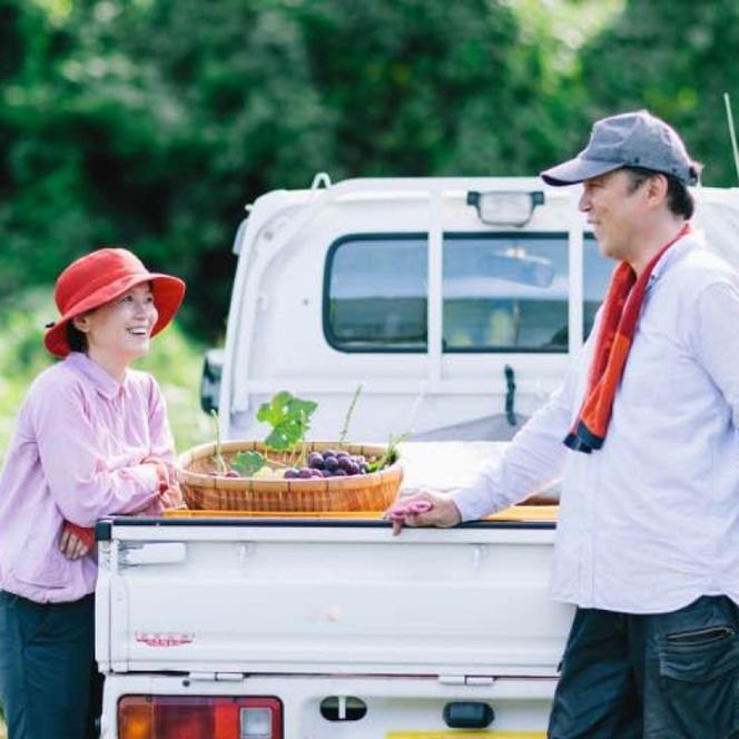 2026年 早期受付 ぶどう ギフトお徳用 シャインマスカット 2kg以上(3～5房) 数量限定 岡山県 高梁市産