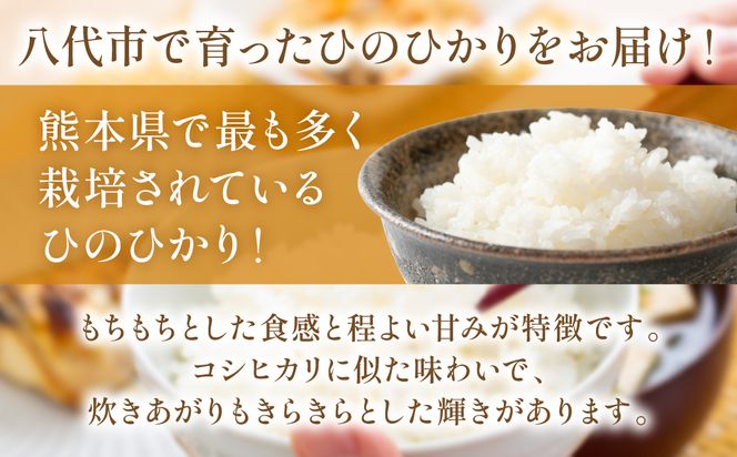《令和7年産》 ヒノヒカリ 5kg×2袋 合計10kg 熊本県 八代市産 米 お米 精米 白米 国産