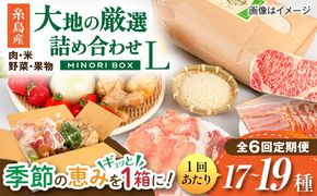 【全6回定期便】糸島産 肉 米 野菜 果物 厳選詰め合わせ MINORI BOX Lサイズ 糸島市 / emma.Inc / 米 肉 野菜 果物 詰め合わせ[AOP017]