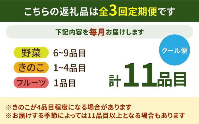 【毎月コース】野菜 キノコ 果物 11品目 詰め合わせ 3回定期便 / 野菜定期便 やさい定期便 きのこ セット 定期便 / 南島原市 / 吉岡青果[SCZ022]